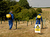 Maintenance - Chemical weed control on new planting